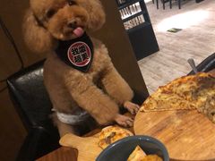 -百好乐宠物友好餐厅(朝外大街店)