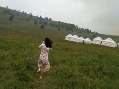 -塞罕坝国家级自然保护区