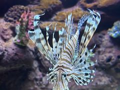 -太平洋海底世界