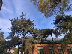 -中国人民大学游泳馆