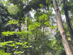 -雁荡山三折瀑景区