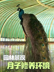 点击看大图 -宝馨月月子中心(友谊医院店)