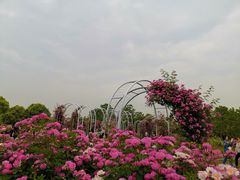 -尚贤河湿地