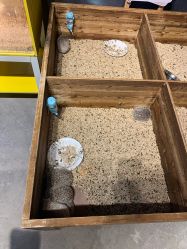 -酷嗒动物文化乐园(cutezoo西溪乐天城店)