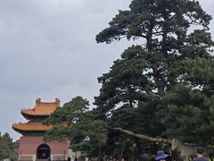 -北陵公园