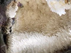 -湖南省地质博物馆