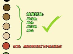 -纳吉亚猫专科动物医院博雅分院