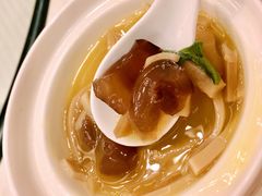 金汤-同济大酒店(绿宝广场店)