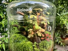 -西安汉城湖景区