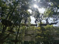 -WeLope紫金山探险公园