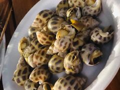 -疍家人黄记海鲜火烧烤
