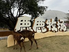 -盈香心动乐园