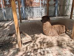 -长白岛森林公园