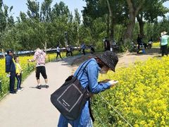 -长白岛森林公园