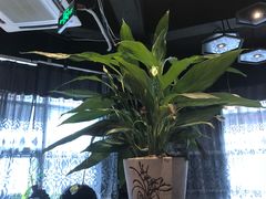 -江南原著(中联广场店)