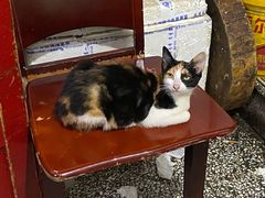 -老丘丘(较场口店)