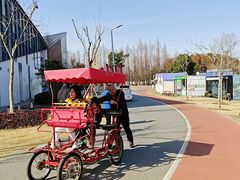 -上海长兴岛郊野公园