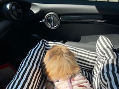 -爱侣宠医·鹦鹉专科·小型哺乳类·异宠专科(灵石路店)