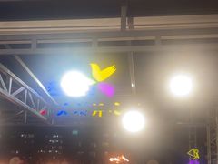 -渔家火锅·海鲜自助餐·演艺(亚龙湾天域酒店)