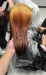-藤野造型