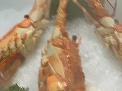 小青龙-蝶园·装修中(BFC外滩金融中心店)