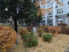-东北大学(南湖校区)
