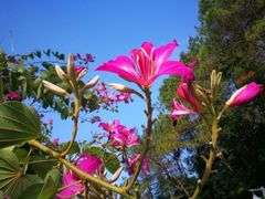 -神光山国家森林公园