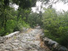 -阳台山自然风景区