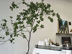 -Eu2+ coffee(上大路店)