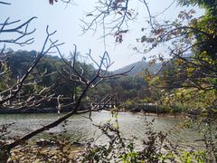 -广州市帽峰山景区