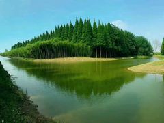 -黄海国家森林公园