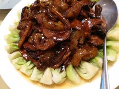 姬松茸烧海参-广州酒家(昌岗地铁站店)