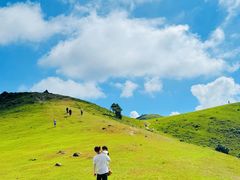 -大姆山草场
