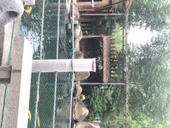 -湖鲜楼