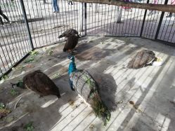 点击看大图 -蓝可可亲子乐园(北苑店)