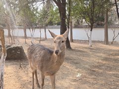 -观唐（国际）度假村温泉