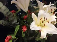 -凤凰湘语·湘粤鲜融(浦东旗舰店)