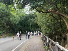 -大雁山风景区