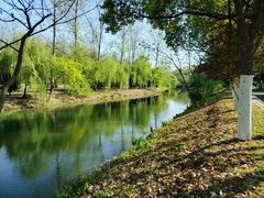 -合肥滨湖国家森林公园