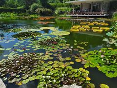 -国家植物园南园