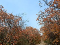 -鹤壁淇县云梦山
