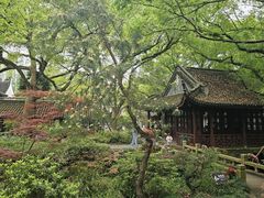 -上海醉白池公园