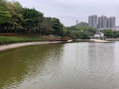 -深圳国际园林花卉博览园