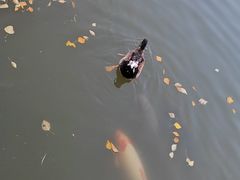 -西宁市人民公园(城西区)