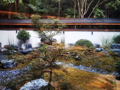 -久宴·天目湖大鱼头(恐龙园店)