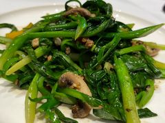 橄榄油爆芥兰蘑-天和晟烤鸭店(玉泉西街店)