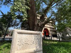 -北京石刻艺术博物馆(五塔寺)