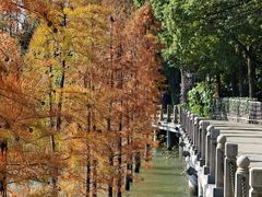 -天目湖山水园