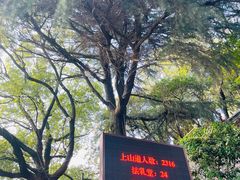 -狼山风景名胜区