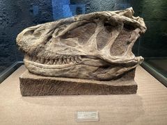 -自贡恐龙博物馆